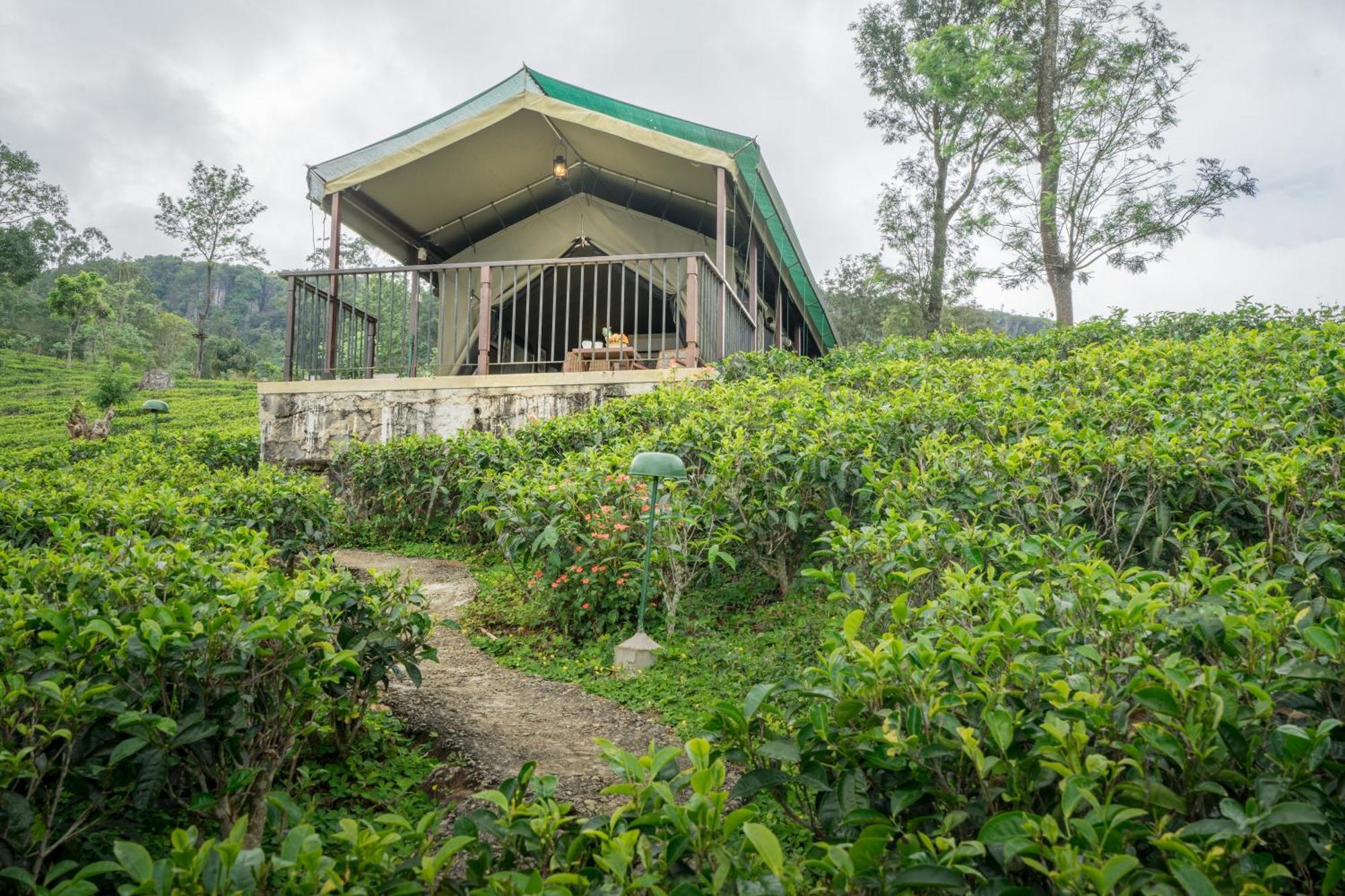 Madulkelle Tea&Eco Lodge Kandy Exterior foto