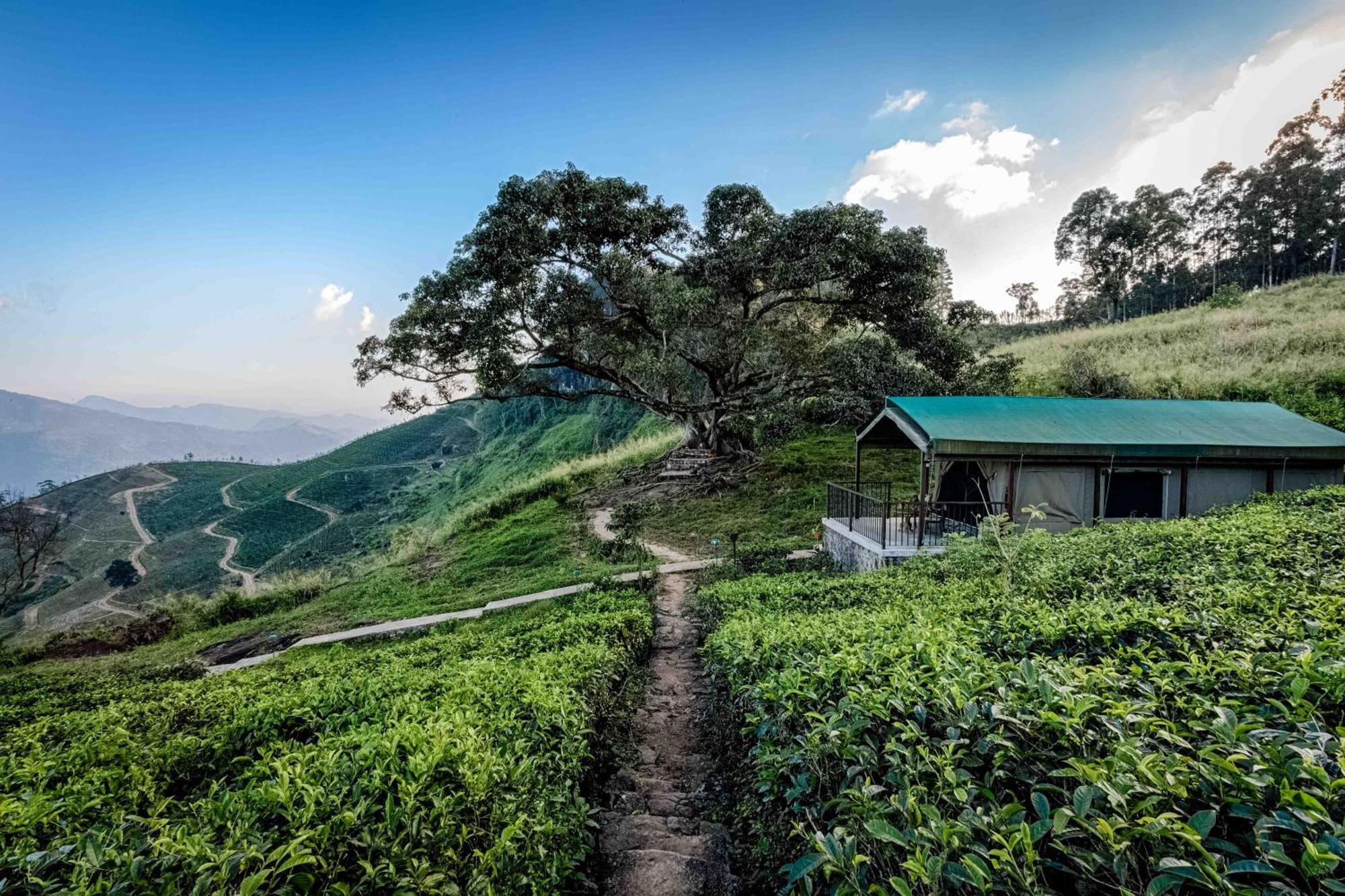Madulkelle Tea&Eco Lodge Kandy Exterior foto