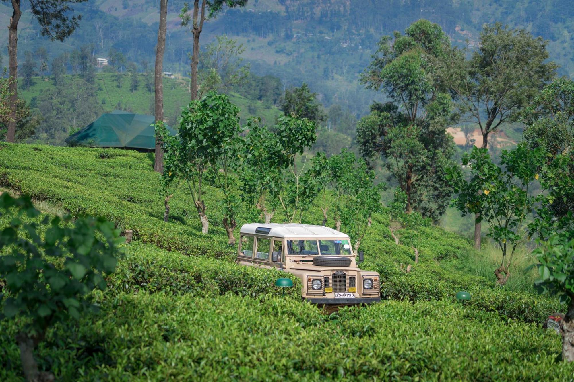 Madulkelle Tea&Eco Lodge Kandy Exterior foto