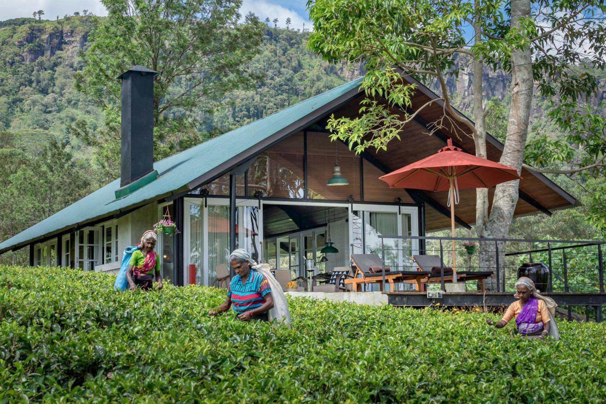 Madulkelle Tea&Eco Lodge Kandy Exterior foto